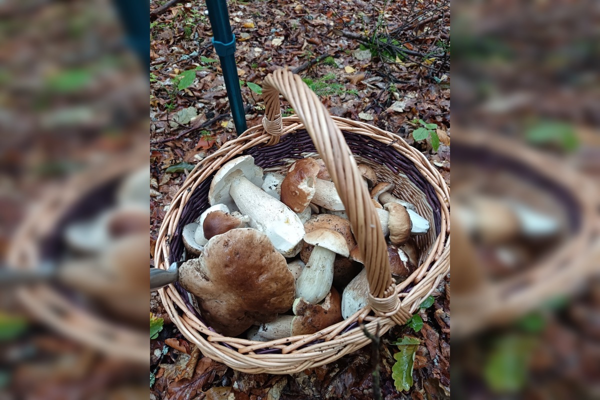 FOTO: Hubári sú v Prešovskom kraji nadšení, foto 16