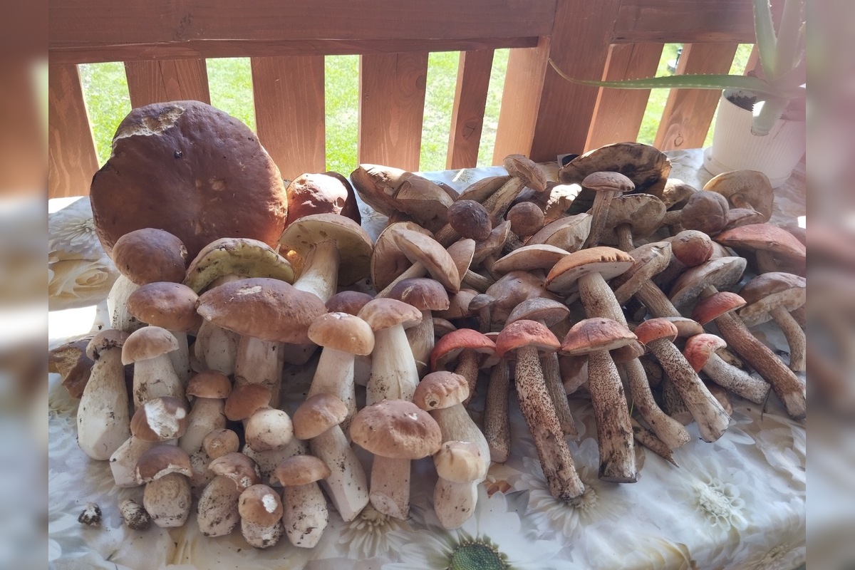 FOTO: Hubári sú v Prešovskom kraji nadšení, foto 17