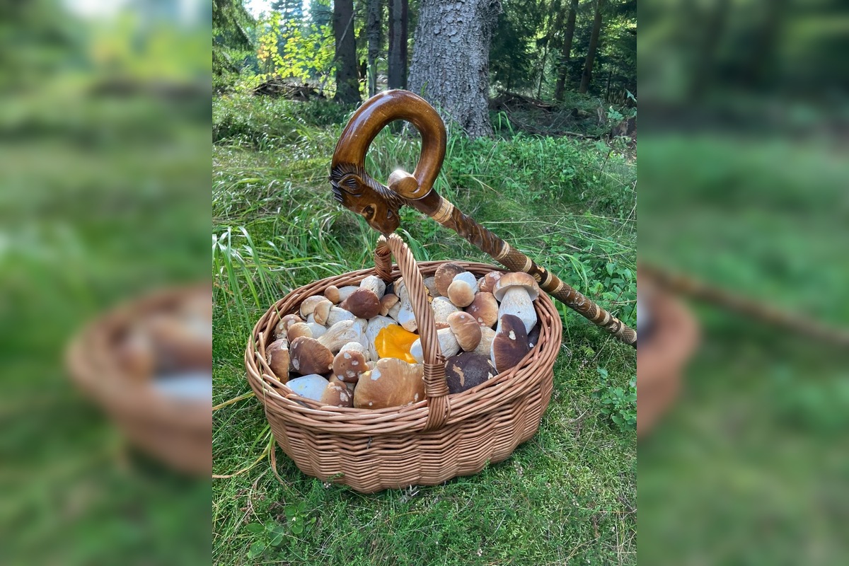 FOTO: Hubári sú v Prešovskom kraji nadšení, foto 18