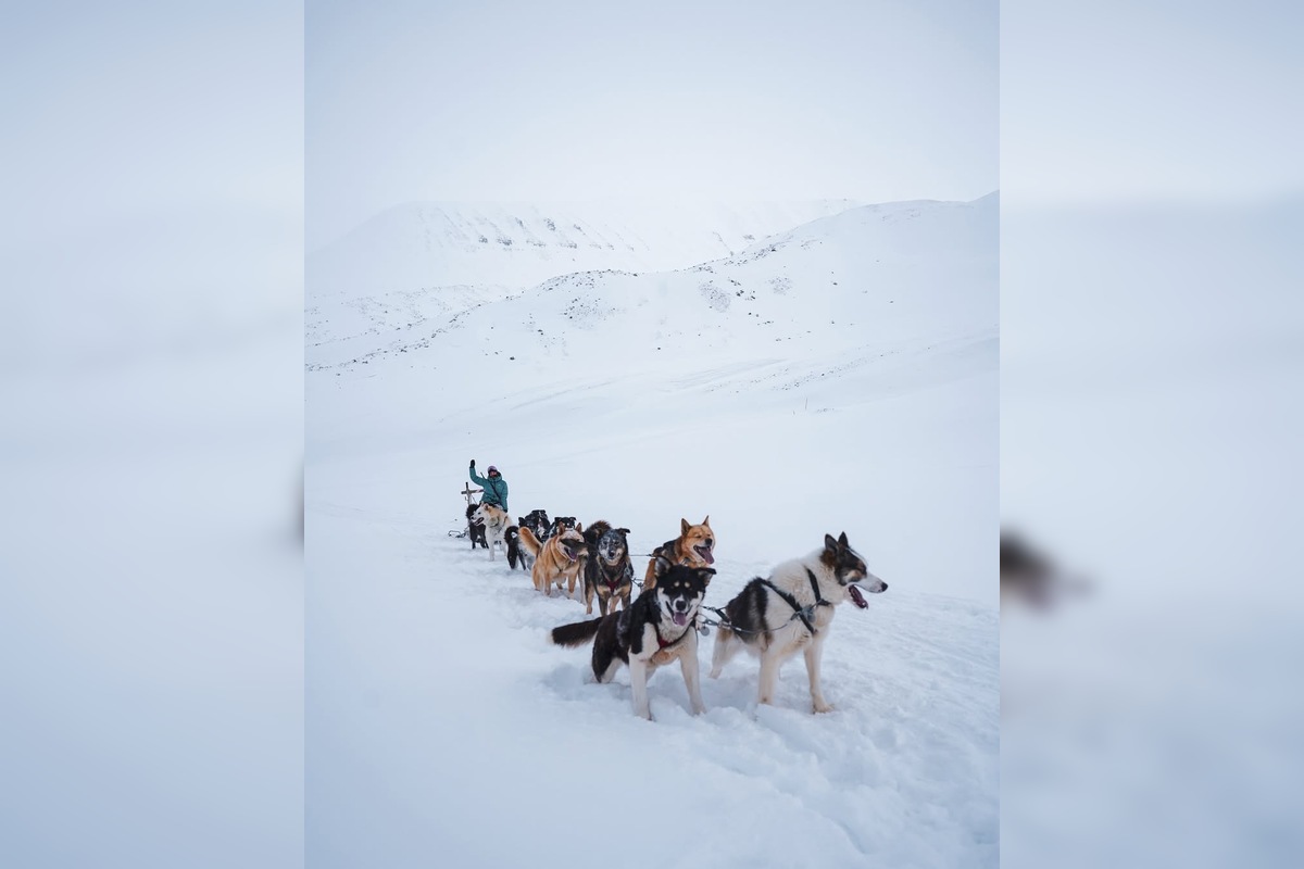 FOTO: Emma a Marcel z východu sa so svorkou psov presťahovali na Svalbard, foto 2