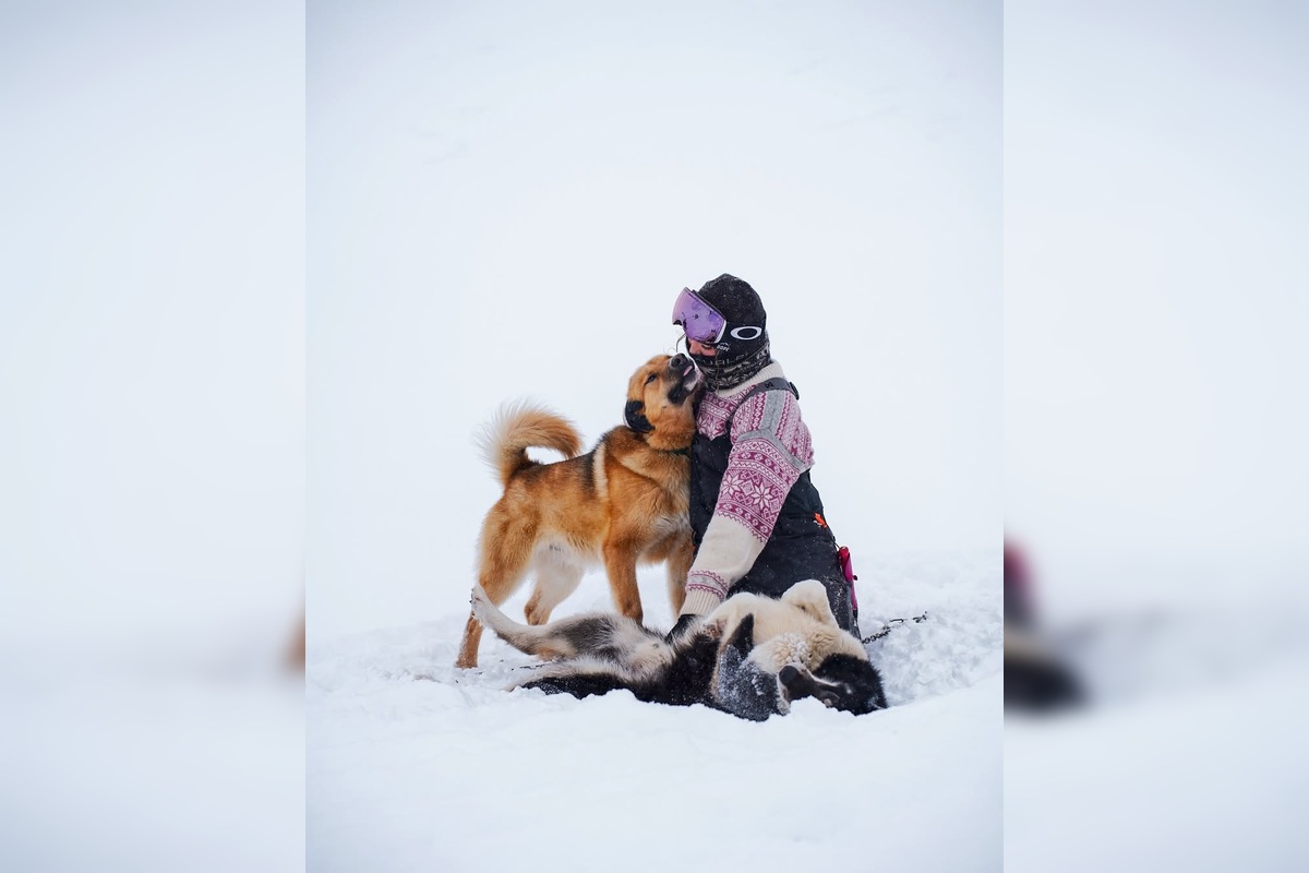 FOTO: Emma a Marcel z východu sa so svorkou psov presťahovali na Svalbard, foto 3