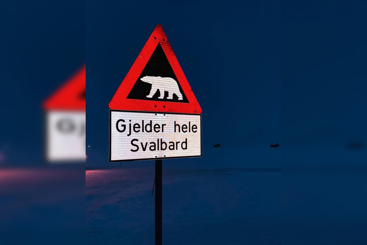 FOTO: Emma a Marcel z východu sa so svorkou psov presťahovali na Svalbard, foto 6