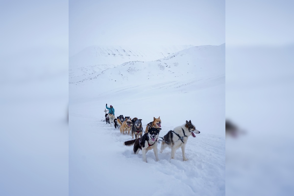 FOTO: Emma a Marcel z východu sa so svorkou psov presťahovali na Svalbard, foto 11