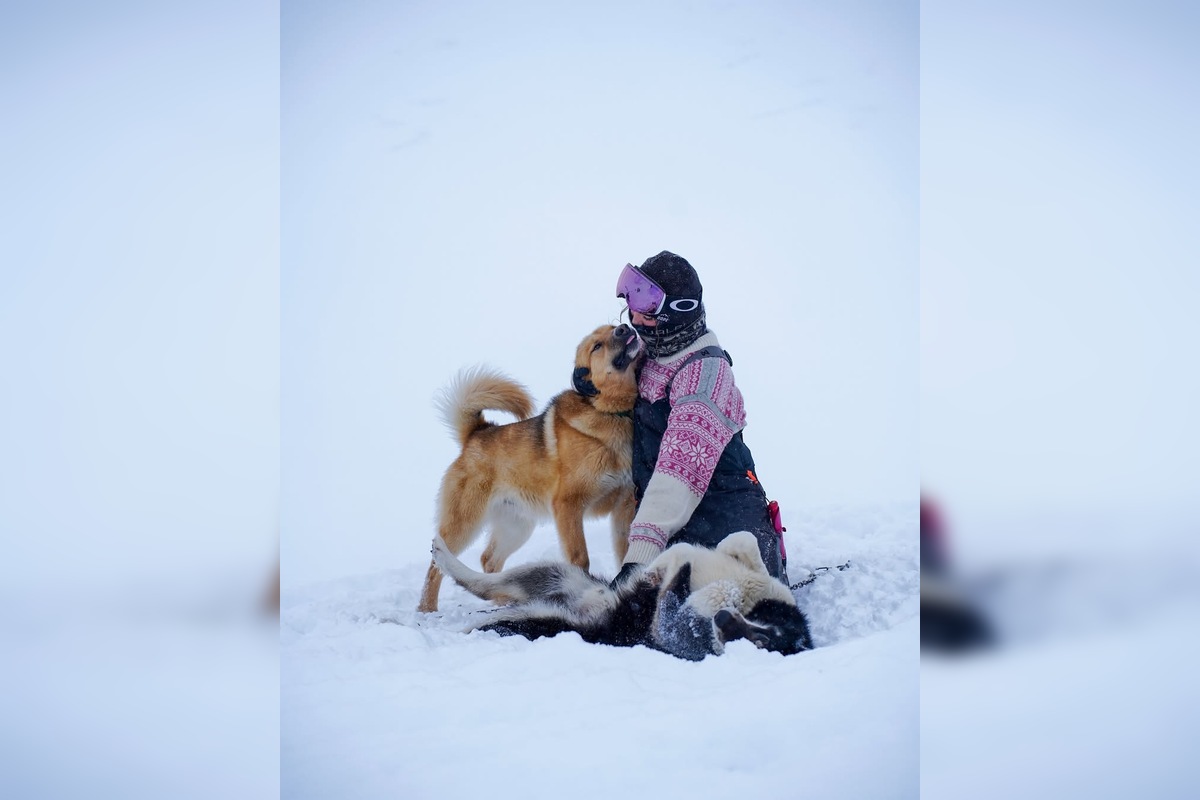 FOTO: Emma a Marcel z východu sa so svorkou psov presťahovali na Svalbard, foto 12