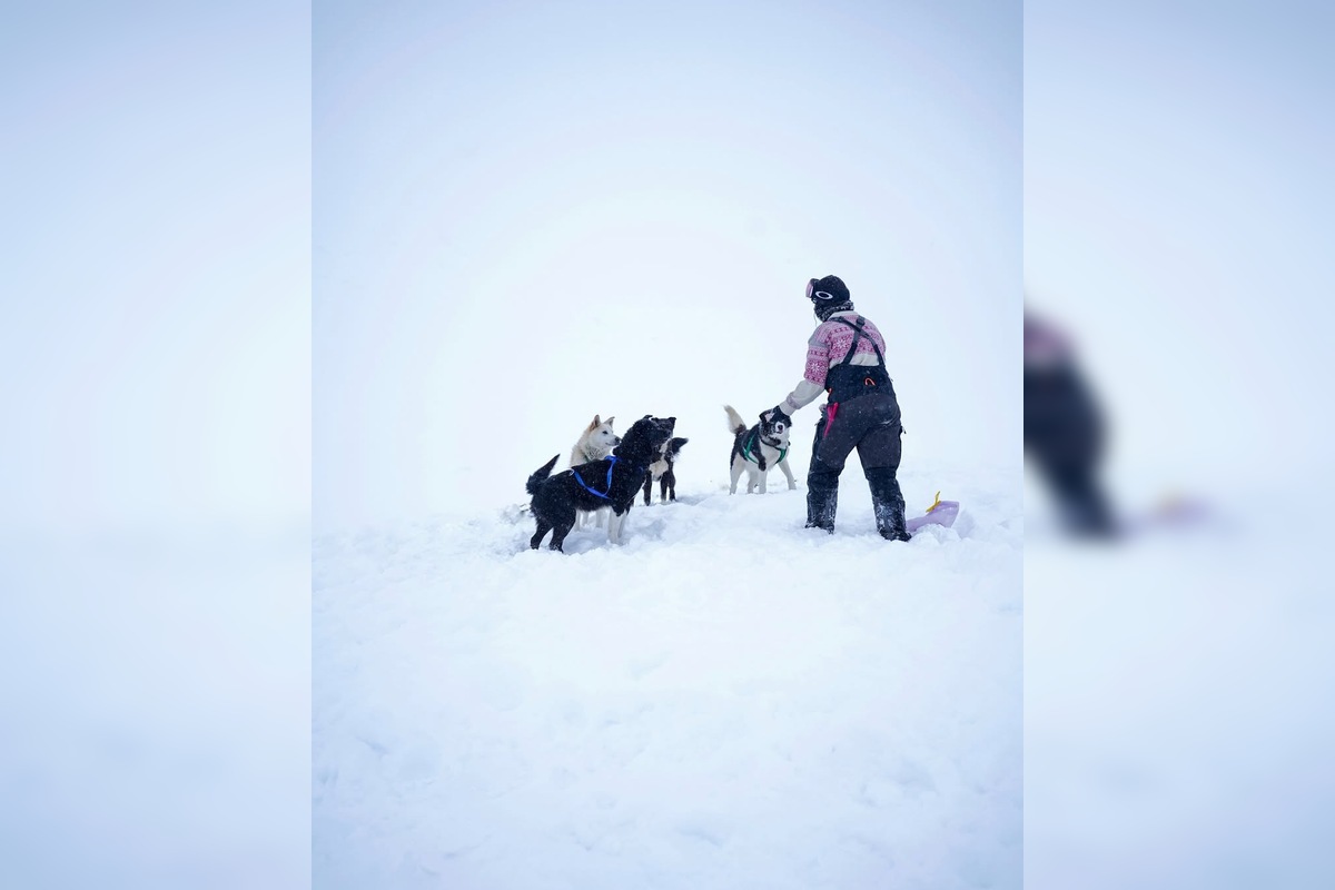 FOTO: Emma a Marcel z východu sa so svorkou psov presťahovali na Svalbard, foto 13