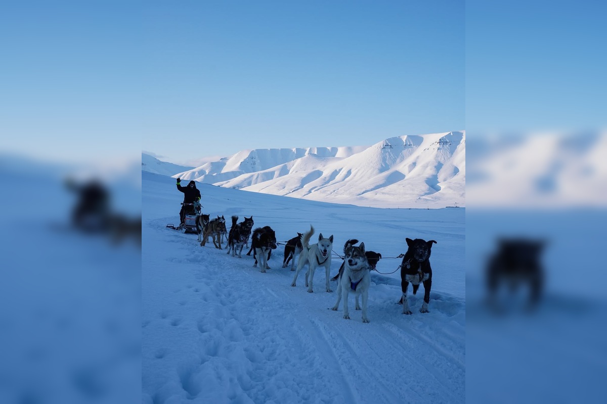 FOTO: Emma a Marcel z východu sa so svorkou psov presťahovali na Svalbard, foto 18