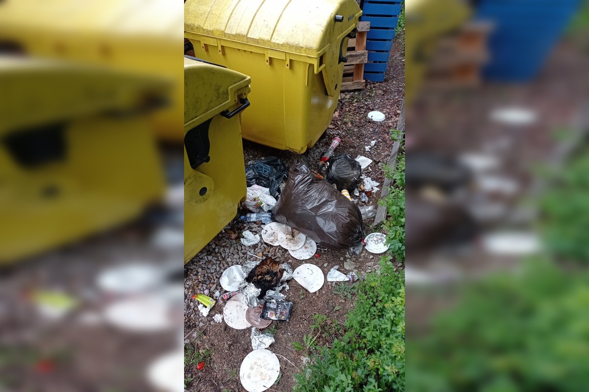 FOTO: Prešovčanov zasiahol smutný pohľad na znečistené okolie vodnej nádrže Sigord, foto 10