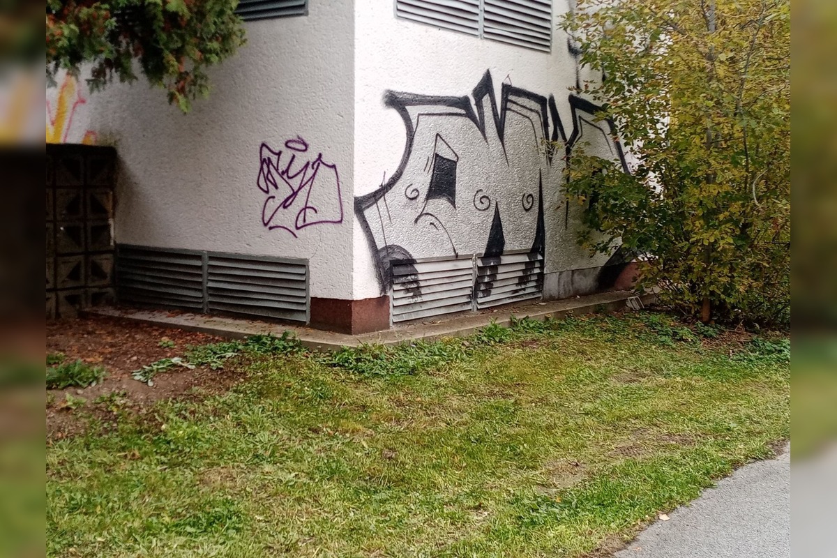 FOTO: Darina z Prešova ponúka odmenu za odhalenie autora graffiti, foto 2