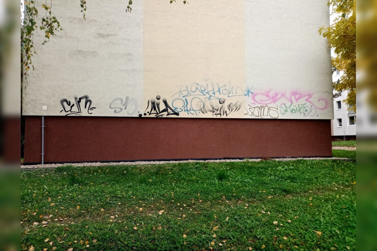 FOTO: Darina z Prešova ponúka odmenu za odhalenie autora graffiti, foto 5