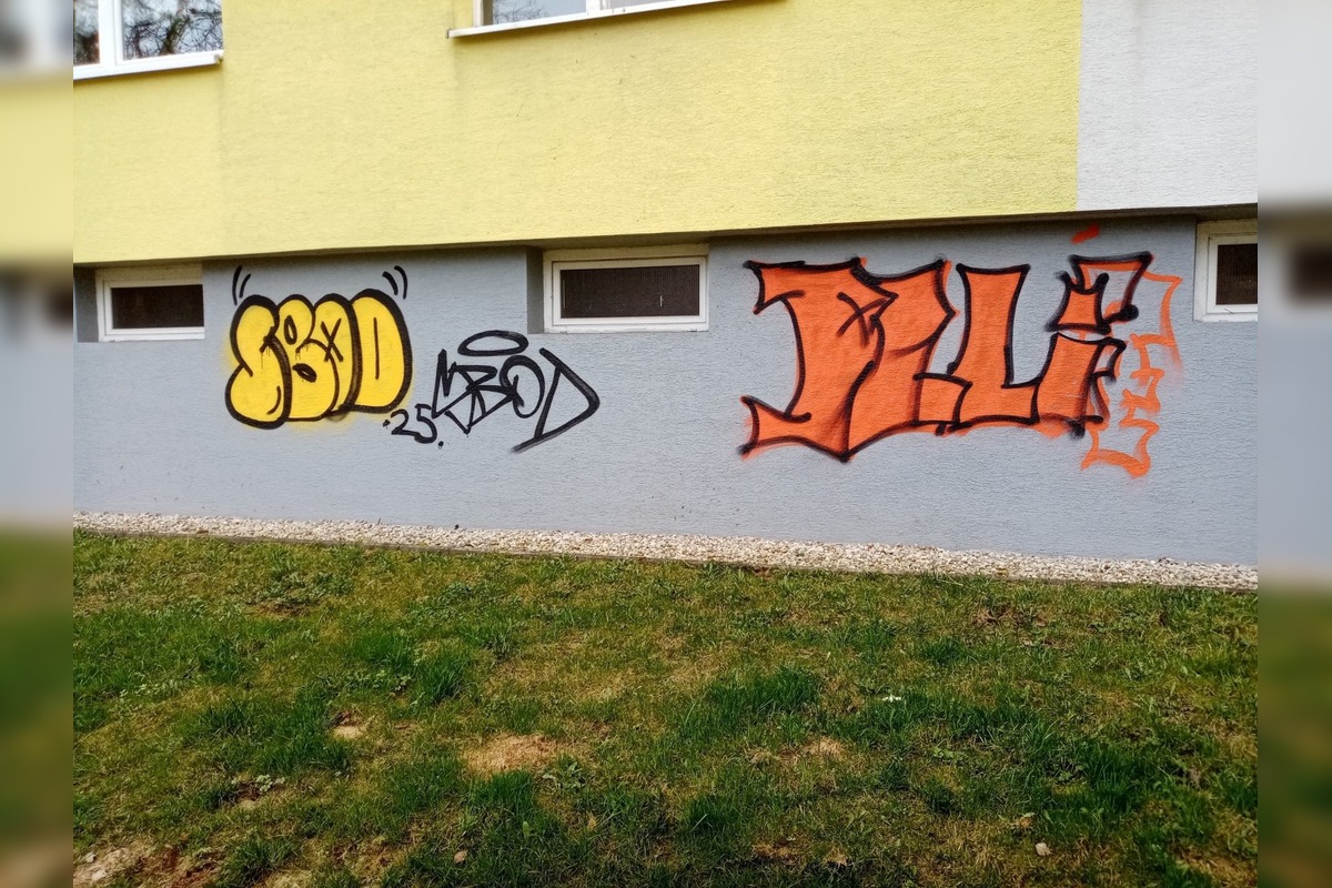 FOTO: Darina z Prešova ponúka odmenu za odhalenie autora graffiti, foto 6