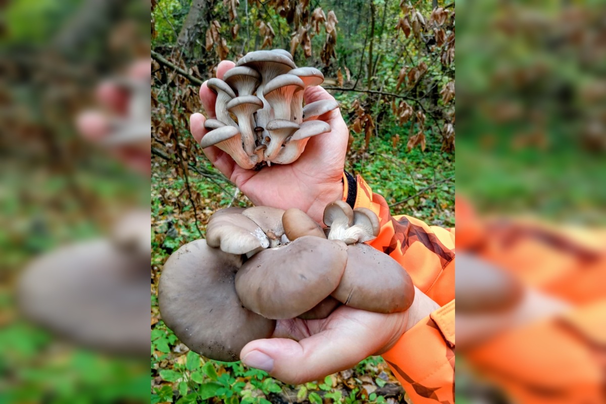 FOTO: Hubári sa pomaly lúčia so sezónou, foto 1