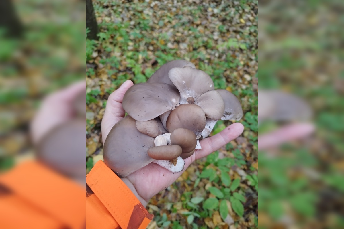 FOTO: Hubári sa pomaly lúčia so sezónou, foto 3