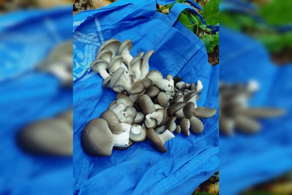 FOTO: Hubári sa pomaly lúčia so sezónou, foto 4