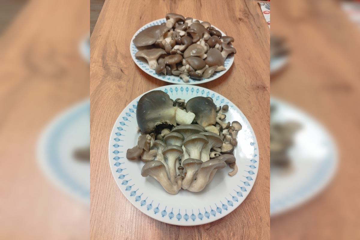 FOTO: Hubári sa pomaly lúčia so sezónou, foto 5