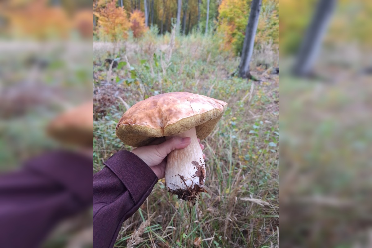 FOTO: Hubári sa pomaly lúčia so sezónou, foto 6