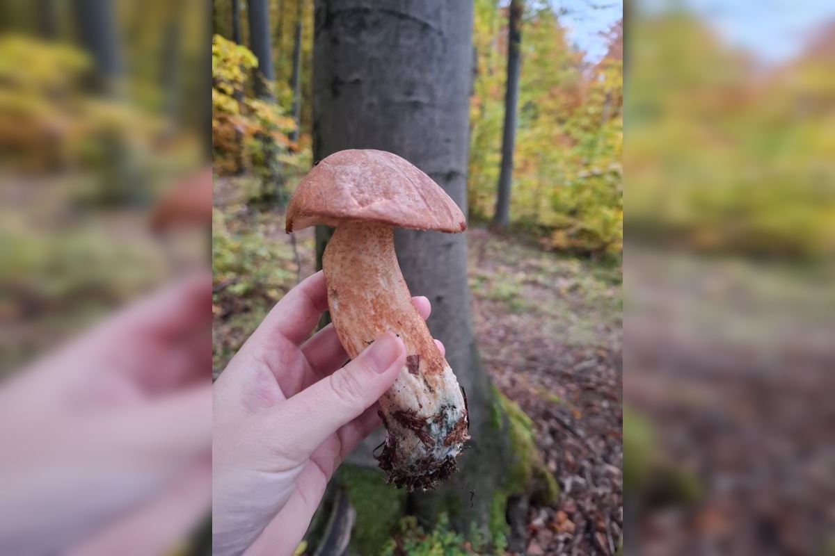 FOTO: Hubári sa pomaly lúčia so sezónou, foto 7