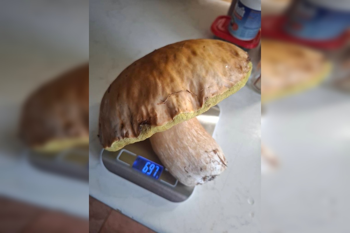 FOTO: Hubári sa pomaly lúčia so sezónou, foto 8