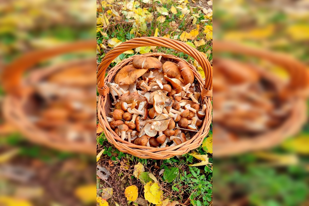 FOTO: Hubári sa pomaly lúčia so sezónou, foto 10