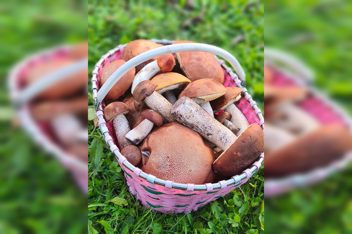 FOTO: Hubári sa pomaly lúčia so sezónou, foto 11