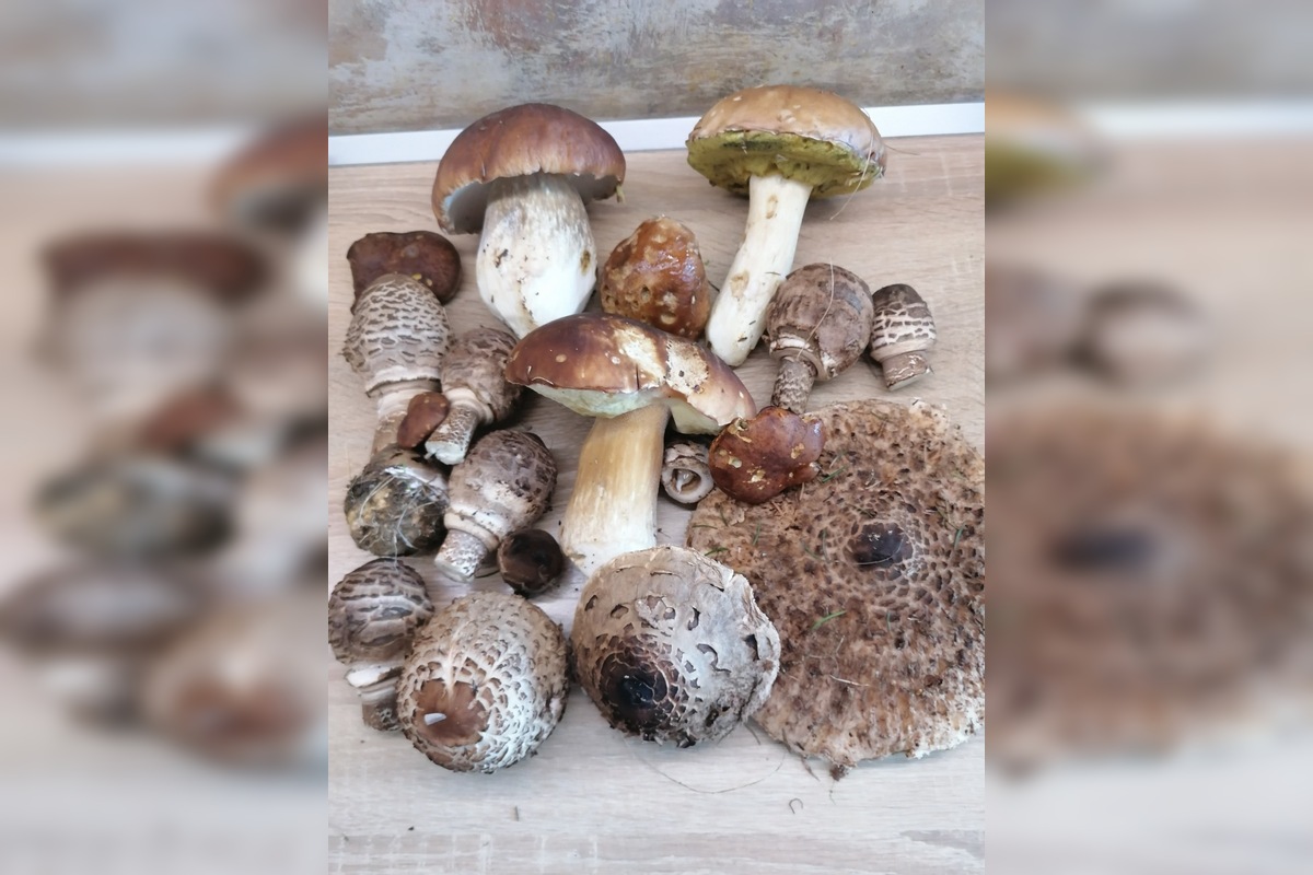 FOTO: Hubári sa pomaly lúčia so sezónou, foto 12