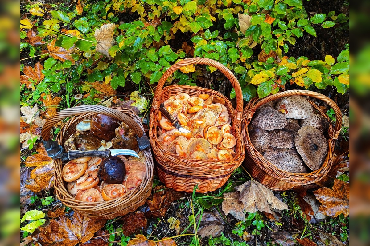 FOTO: Hubári sa pomaly lúčia so sezónou, foto 13