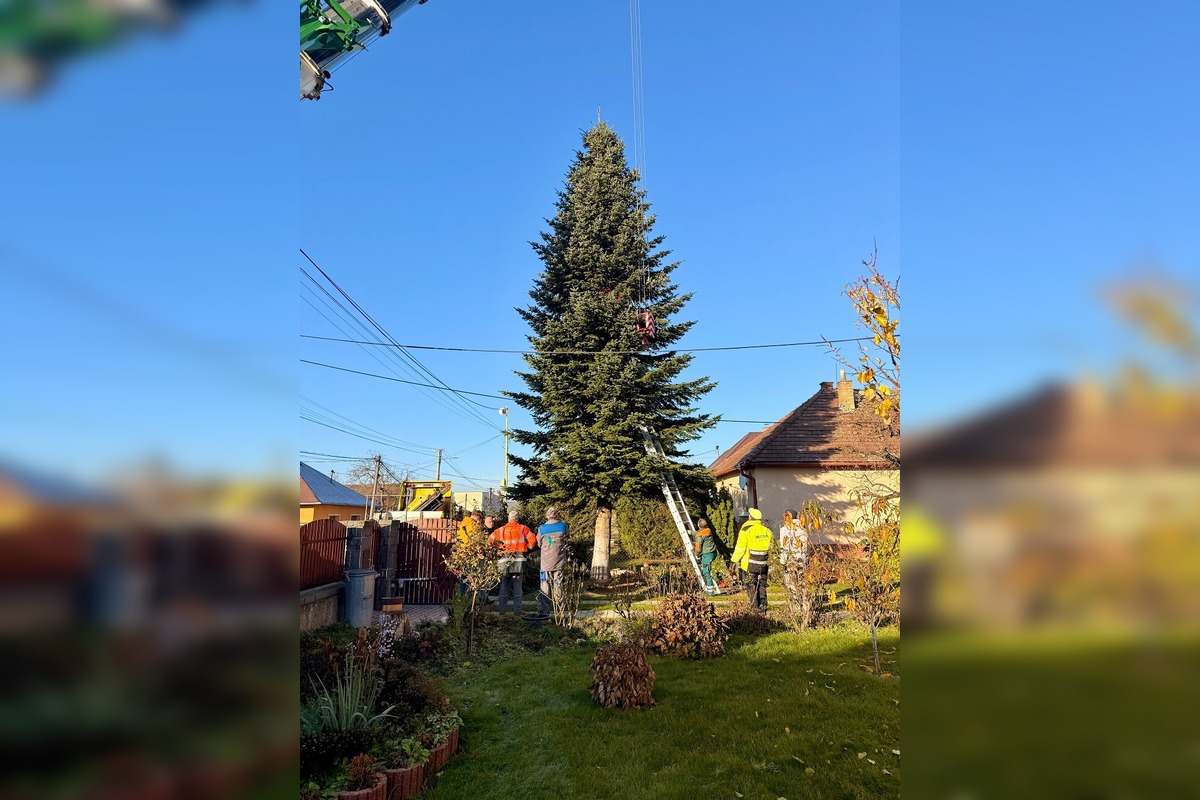 VIDEO: Vianoce 2025 dorazili do Prešova. Mesto ukázalo, ako priviezli strom, foto 1