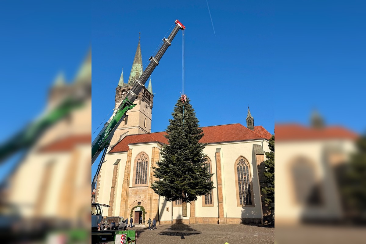 VIDEO: Vianoce 2025 dorazili do Prešova. Mesto ukázalo, ako priviezli strom, foto 2