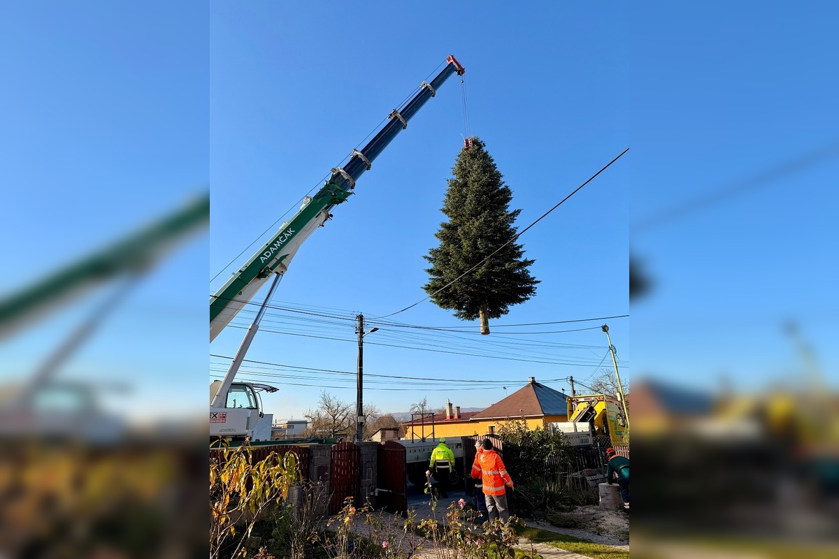 VIDEO: Vianoce 2025 dorazili do Prešova. Mesto ukázalo, ako priviezli strom, foto 3