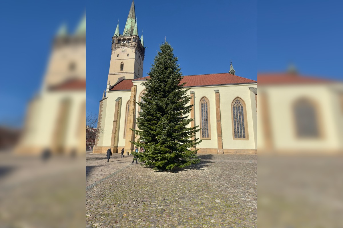 VIDEO: Vianoce 2025 dorazili do Prešova. Mesto ukázalo, ako priviezli strom, foto 4