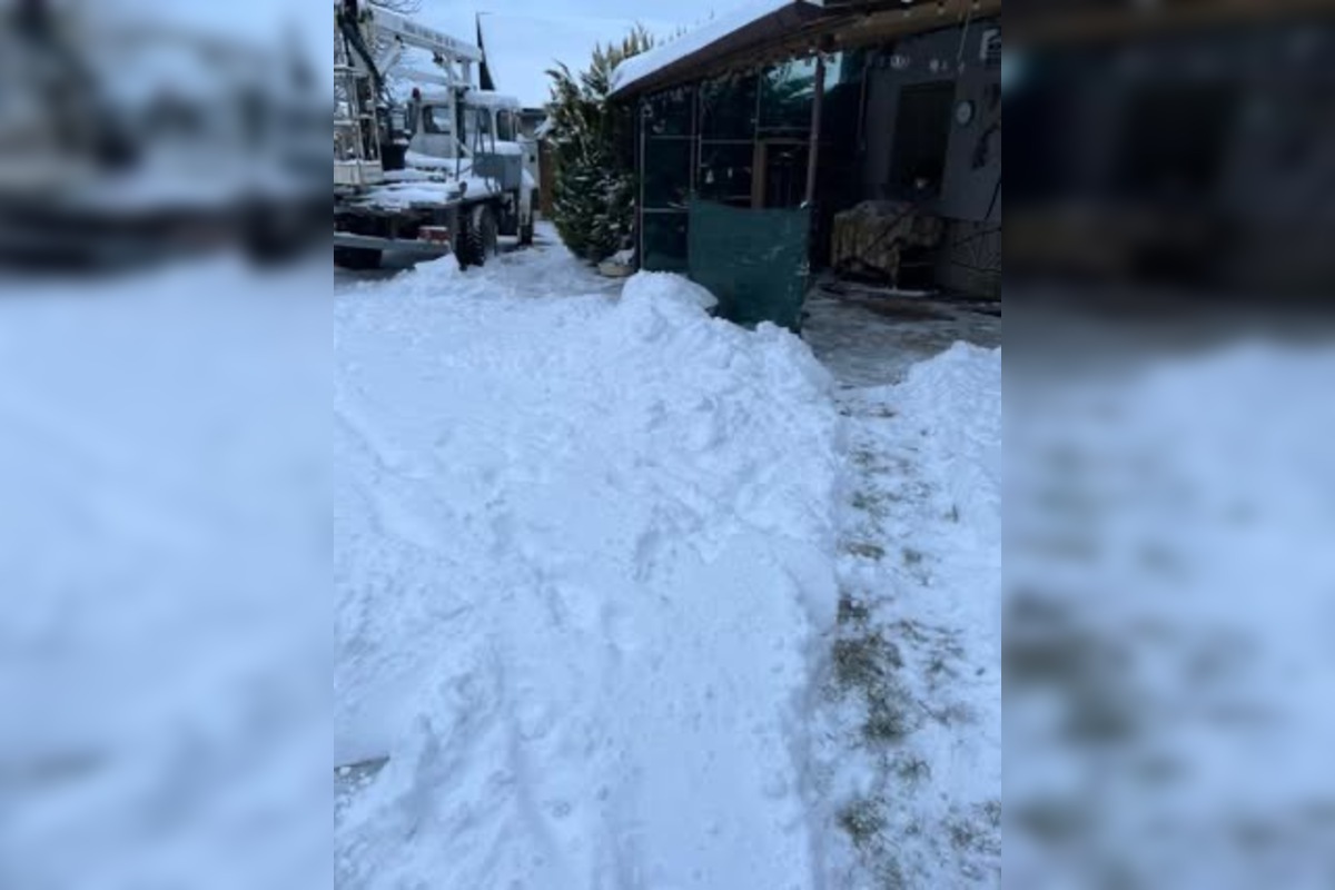 FOTO: Východ Slovenska zasiahla snehová nádielka, foto 1