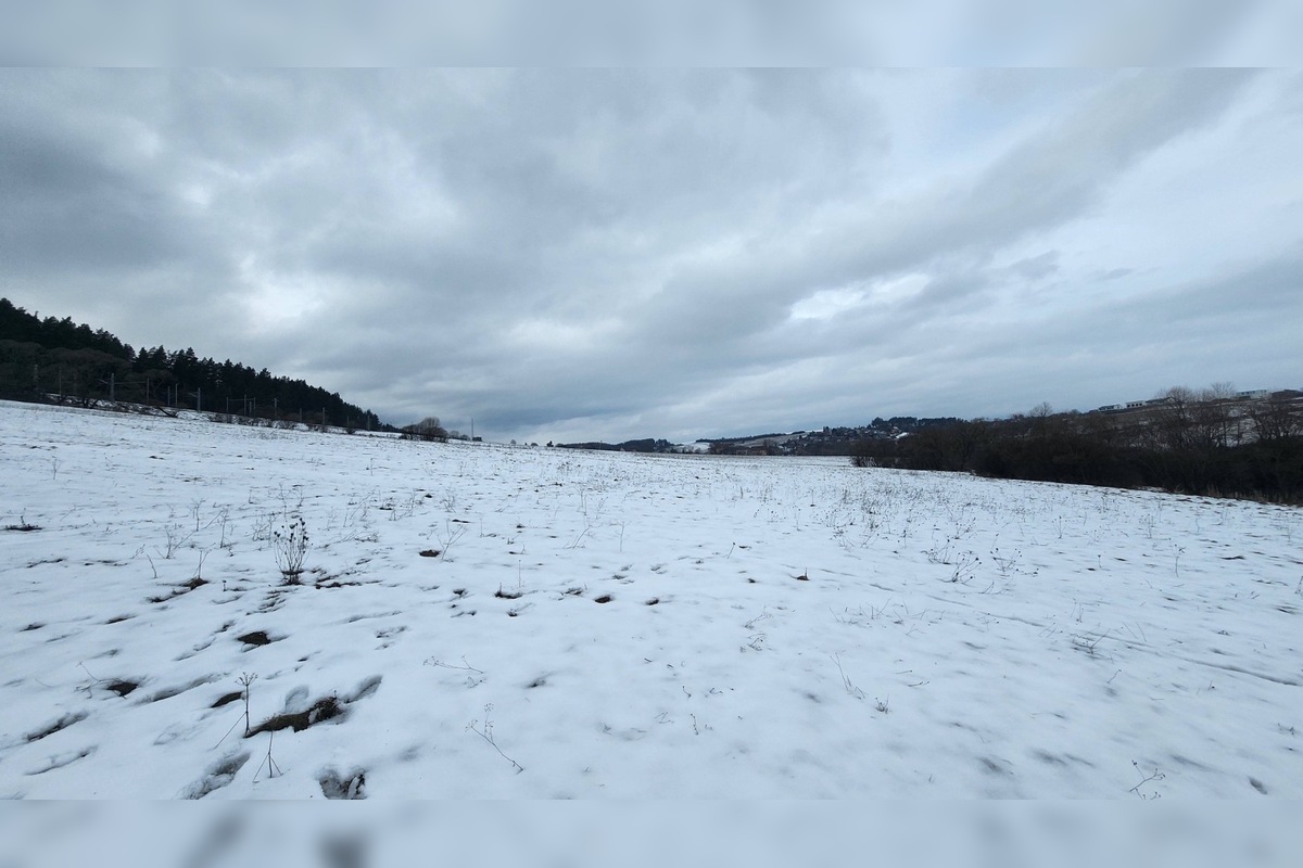 FOTO: V obci pod Tatrami medveď pravdepodobne nespí, foto 11