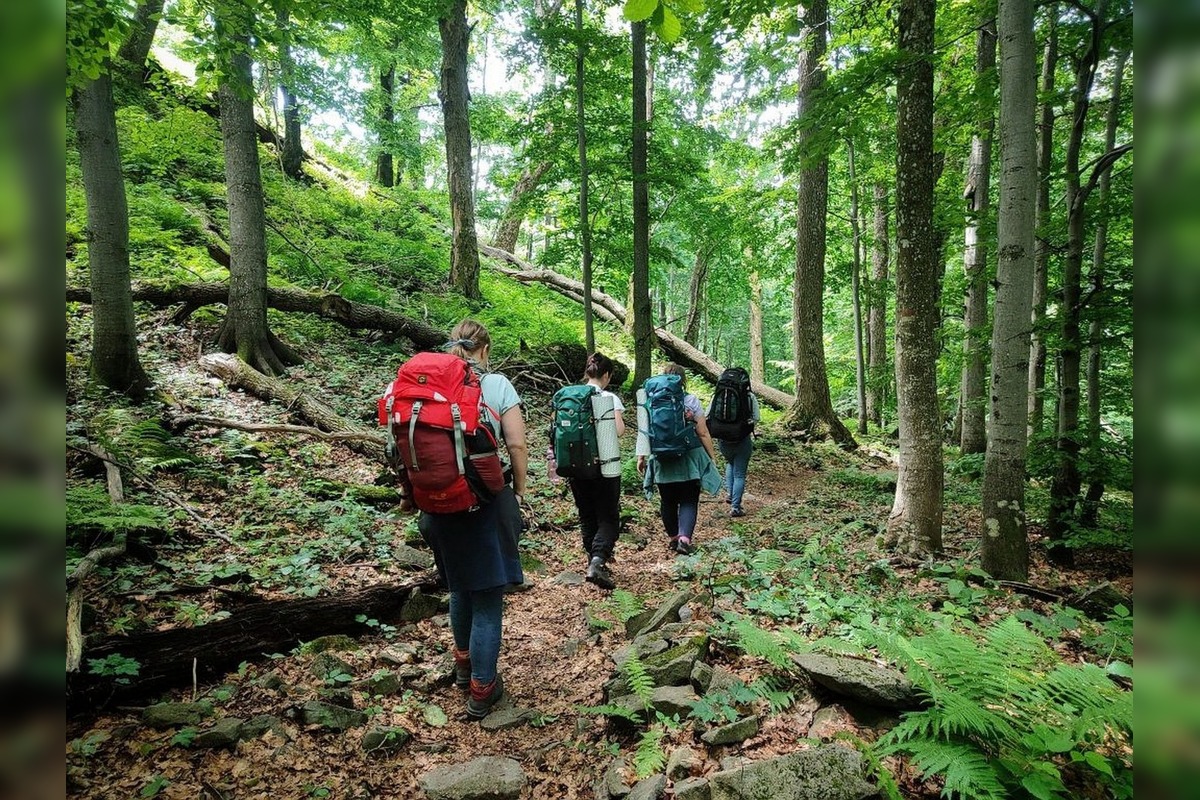 FOTO: Poloniny ako terapia? Kraj spája prírodu a zdravie, foto 5
