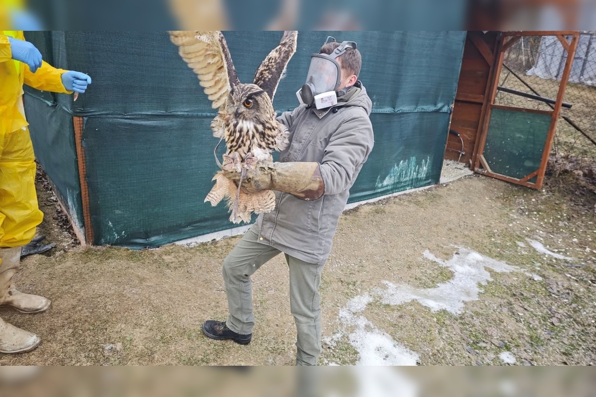 FOTO: V obci pri Prešove bola potvrdená vtáčia chrípka, foto 1