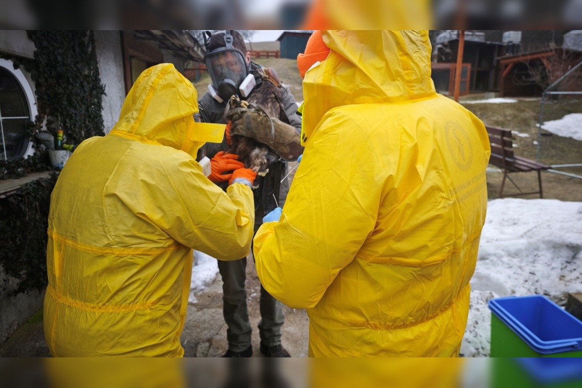 FOTO: V obci pri Prešove bola potvrdená vtáčia chrípka, foto 2