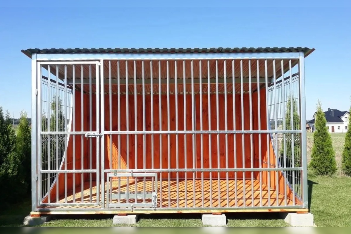 FOTO: Občianske združenie pomáha psíkom v Prešovskom kraji, potrebuje vašu pomoc, foto 1