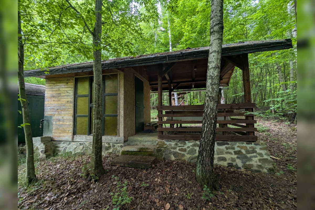 FOTO: Ochranári varujú, v Poloninách má oslabiť ochrana prírody, foto 4