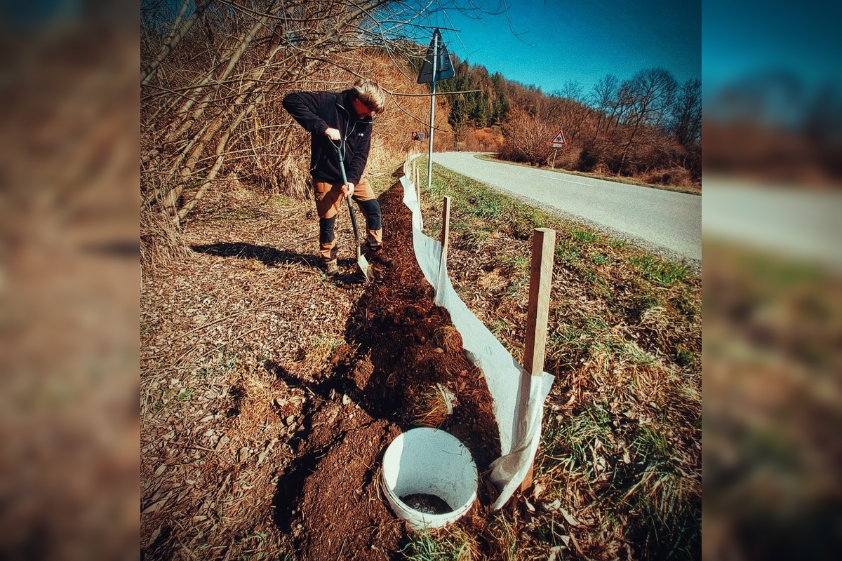 FOTO: V tomto období začínajú žaby svoju púť za rozmnožovaním, foto 3