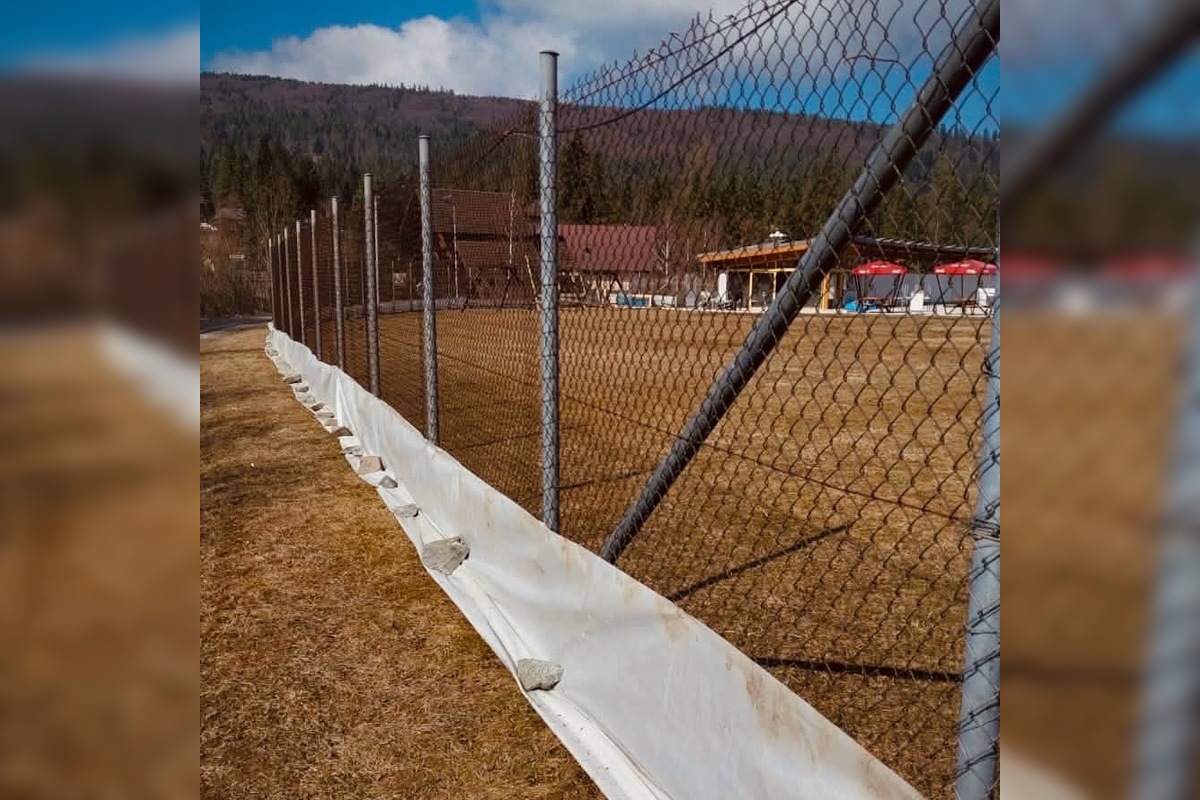 FOTO: V tomto období začínajú žaby svoju púť za rozmnožovaním, foto 6