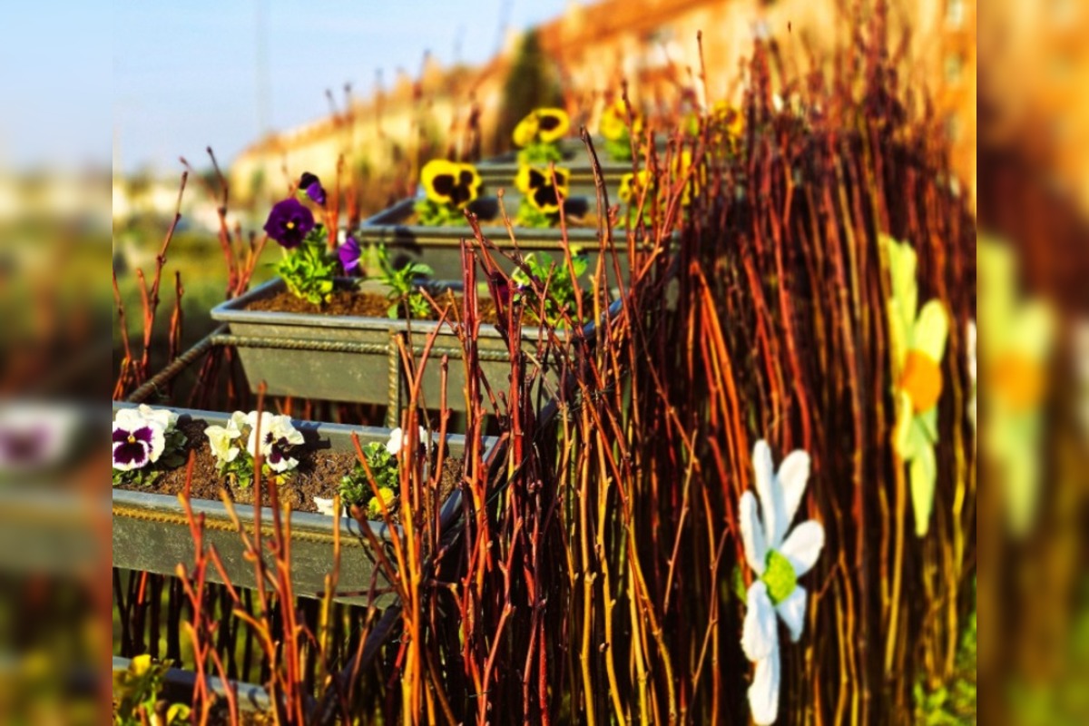 FOTO: Humenné rozkvitlo do Veľkej noci. Zajačiky, vajíčka aj farby, foto 3