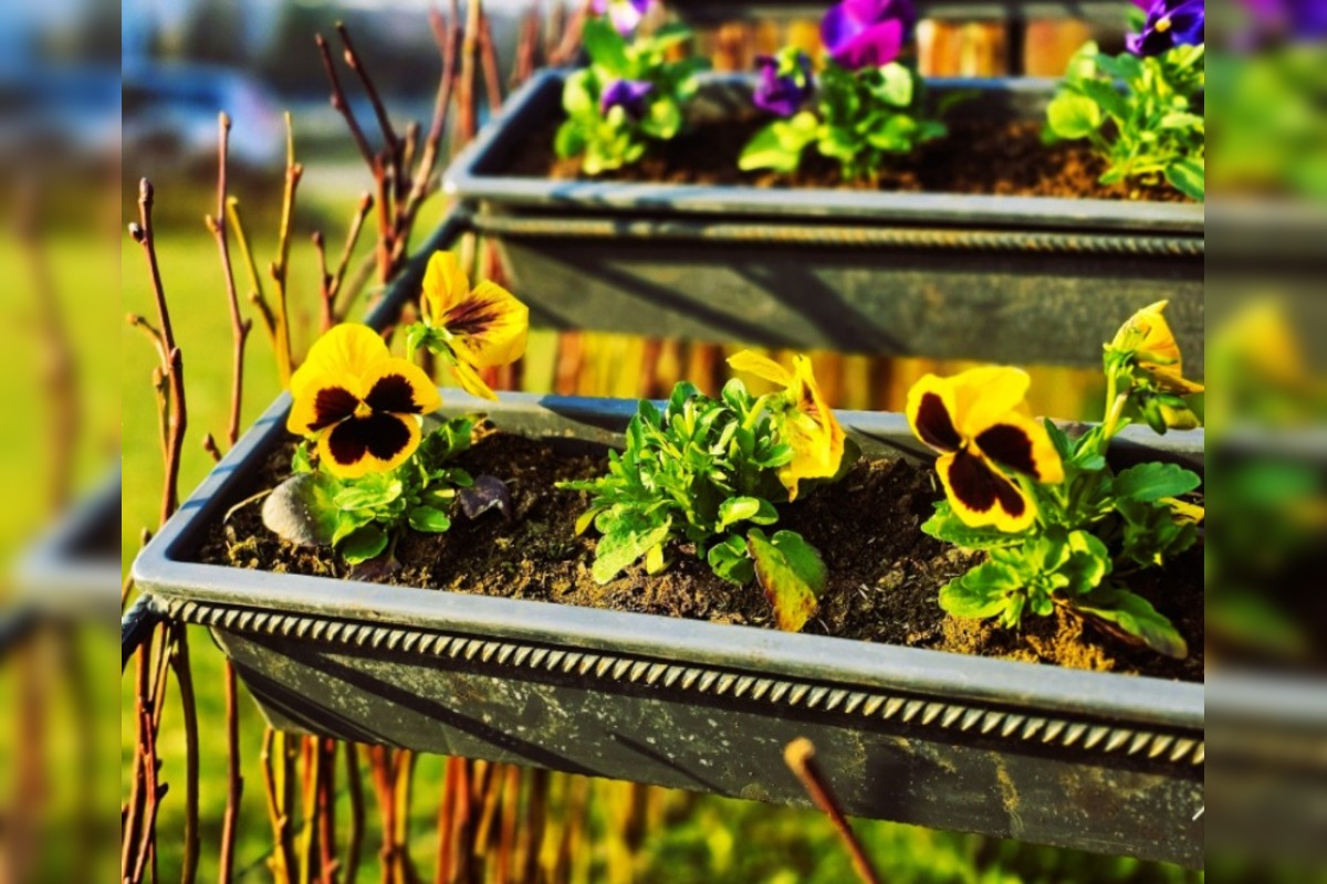 FOTO: Humenné rozkvitlo do Veľkej noci. Zajačiky, vajíčka aj farby, foto 4