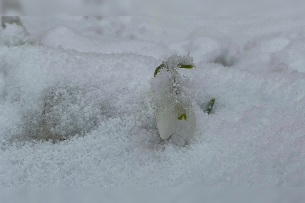 VIDEO: Vo viacerých oblastiach Prešovského kraja od rána sneží, foto 3