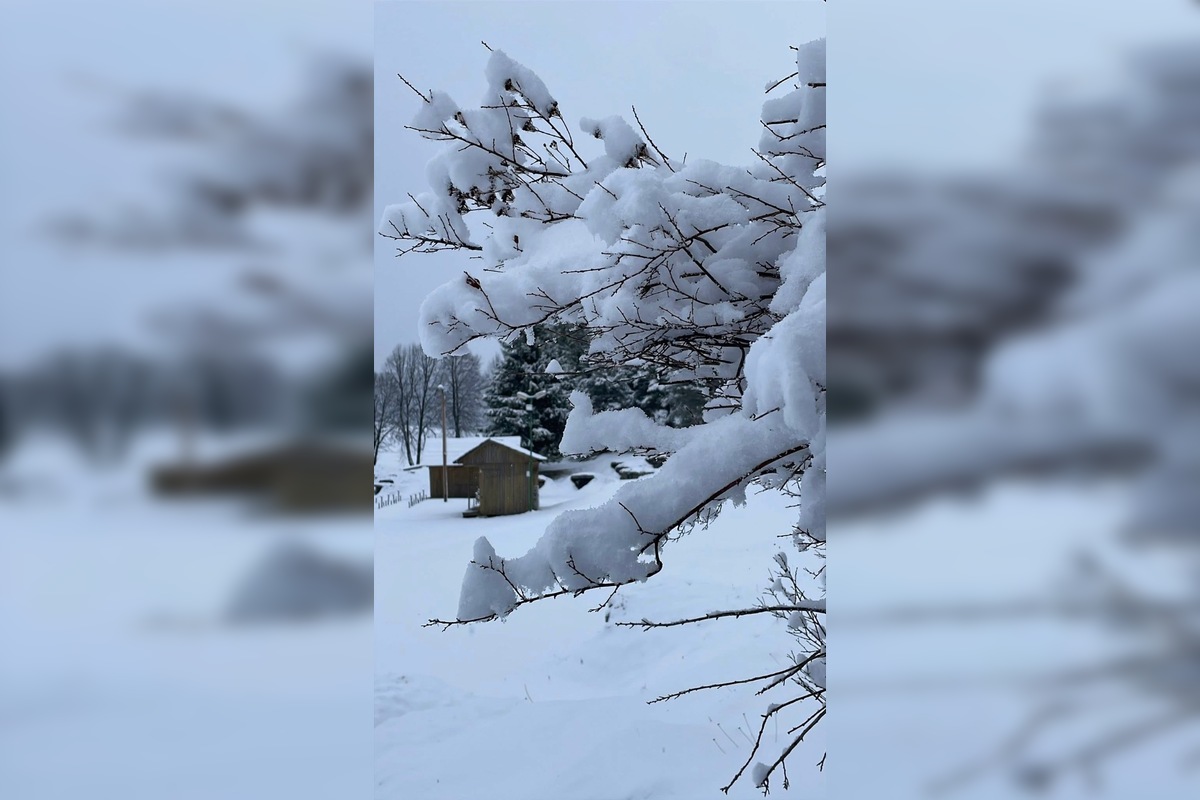 VIDEO: Vo viacerých oblastiach Prešovského kraja od rána sneží, foto 5