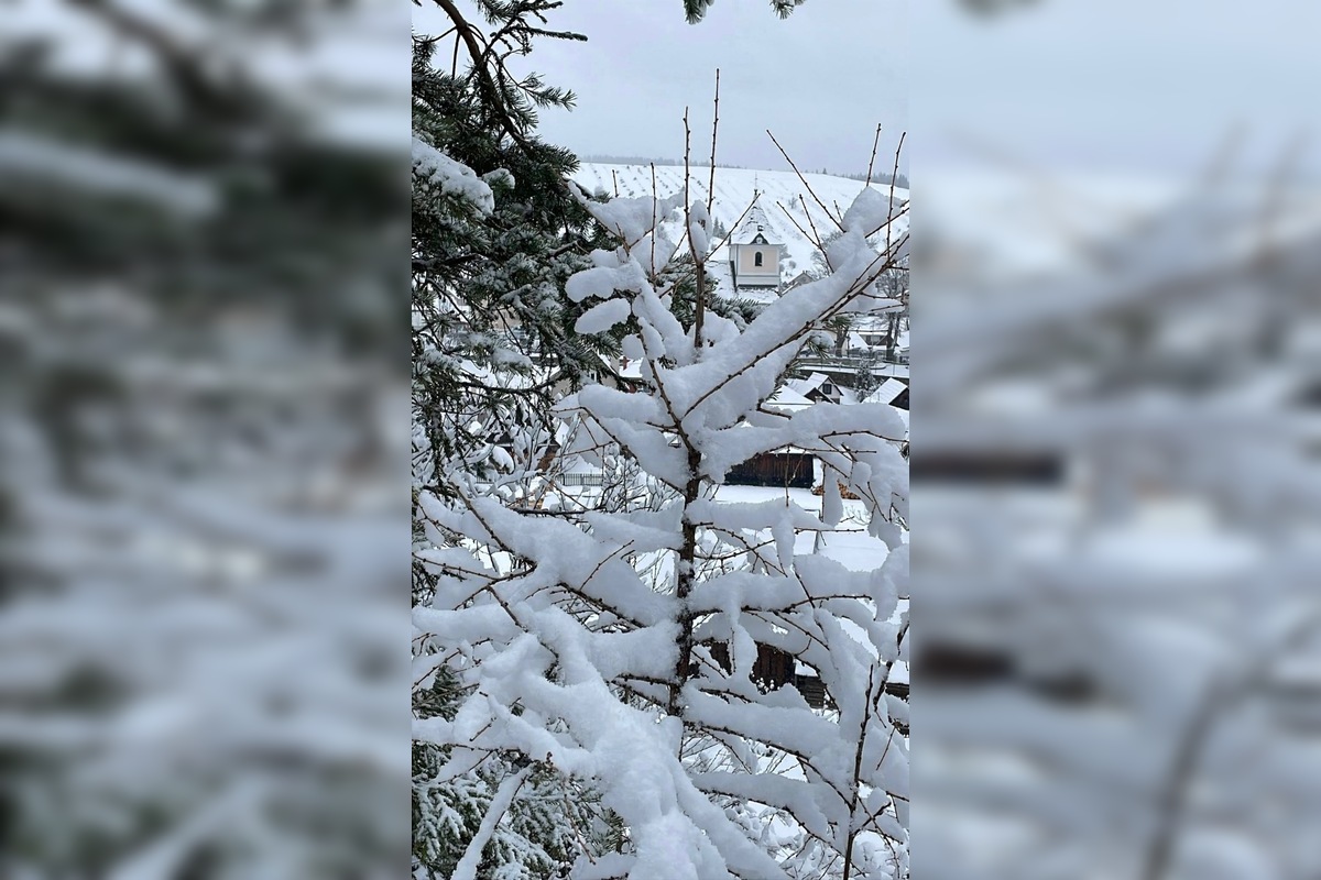 VIDEO: Vo viacerých oblastiach Prešovského kraja od rána sneží, foto 6