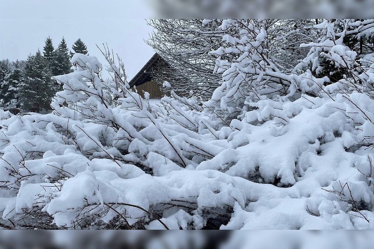 VIDEO: Vo viacerých oblastiach Prešovského kraja od rána sneží, foto 7