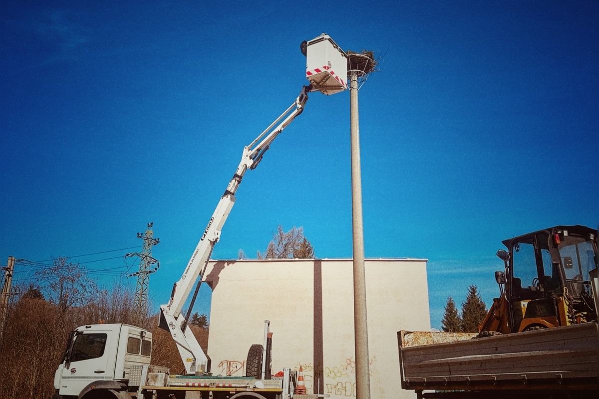 FOTO: Bociany prekvapili skorým návratom, hniezda už boli pripravené, foto 1