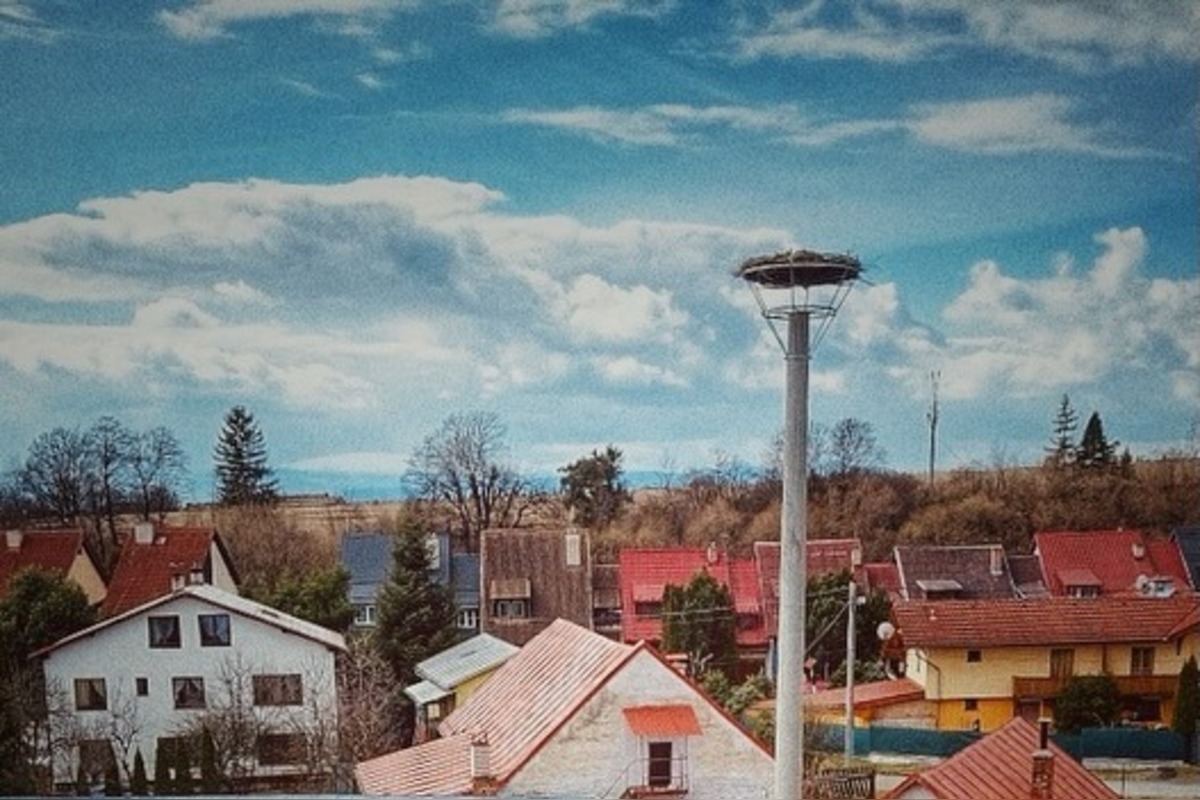 FOTO: Bociany prekvapili skorým návratom, hniezda už boli pripravené, foto 3