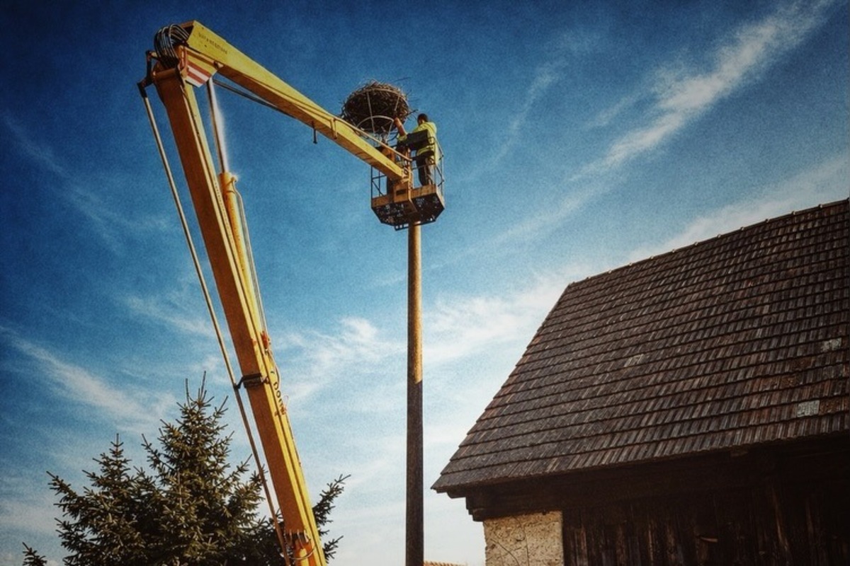 FOTO: Bociany prekvapili skorým návratom, hniezda už boli pripravené, foto 5
