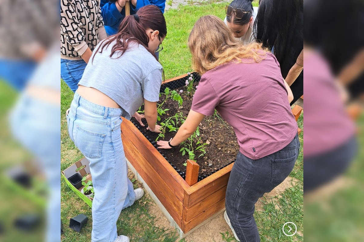 FOTO: Študenti menia školy. Pripravujú chill zóny aj kino pod nebom, foto 4