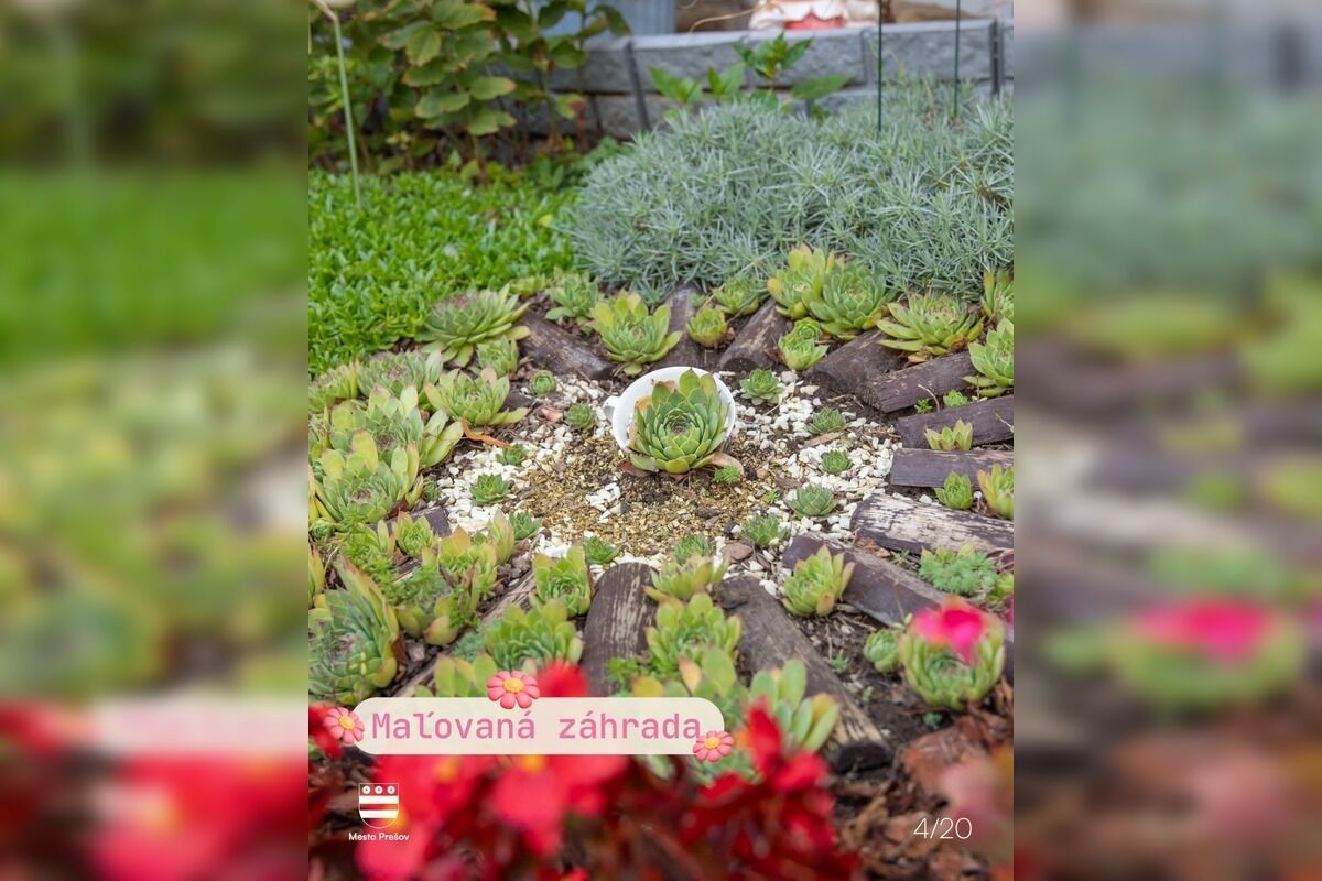 FOTO: Prešov hľadá najkrajšiu predzáhradku, hrá sa o peniaze, foto 7