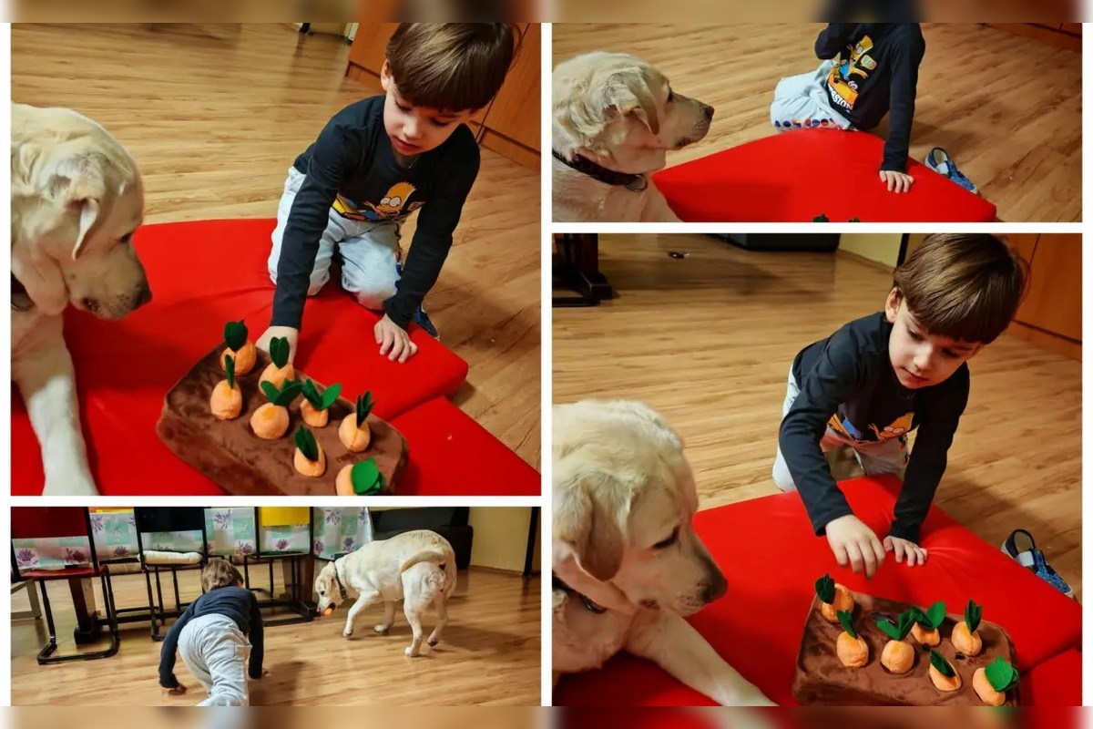 FOTO: Päťročnému Miškovi z okresu Sabinov bol diagnostikovaný detský autizmus, foto 1